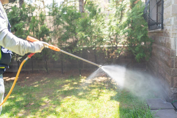 Best Pest Prevention Services  in Lakeview, NY